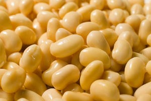 「Spill the beans (豆をばらまく)」って?【知っているとちょっとカッコいい英語のコネタ】