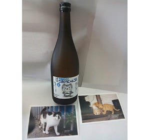 飼い主のいない野良猫を減らすための「にゃんこ酒」発売