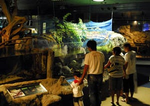 眠るイルカの姿も!　千葉県・鴨川シーワールドで飼育係員と夜の水族館探検