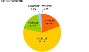 2013年新社会人、8割が500円以下のランチ - ライフスタイル調査