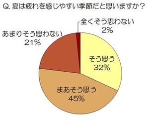 暑い夏はアイスクリームで疲れを癒す! 「疲れ・ストレスに関する調査」