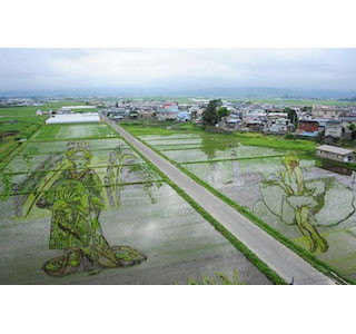 緑の地に立つ巨大な花魁たち。青森県の田んぼがすごいことになっている!