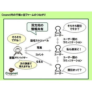 東京都・渋谷区に市民農園「千駄ヶ谷ファーム」オープン! SNSで栽培指導!!