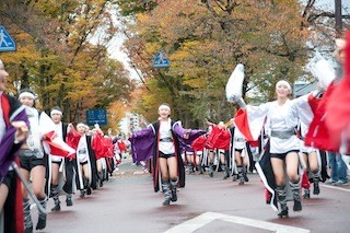 東京都八王子市で「いちょう祭り」を開催 -770本のいちょう並木!