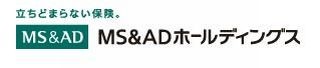 MS＆ADホールディングス、三井住友海上など傘下保険会社を機能別に再編