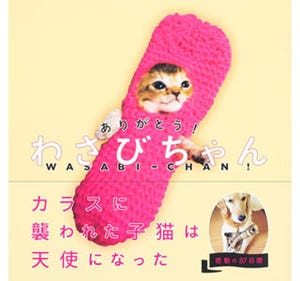 必死に生きた子猫の87日「ありがとう!わさびちゃん」の書籍が発売