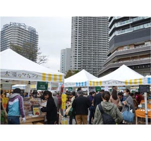 東京都勝どきで開催される「太陽のマルシェ」、12月のテーマは「鍋野菜」