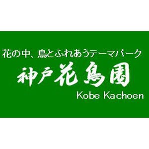 テーマパーク「神戸花鳥園」、民事再生法申請--リーマンが直撃、営業は継続