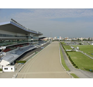 神奈川県初開催! 川崎競馬場のダートを駆け抜ける「馳せよランナー」開催