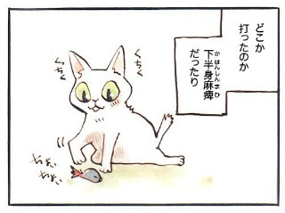 東京都内の保護猫カフェの日常を漫画にしてみた