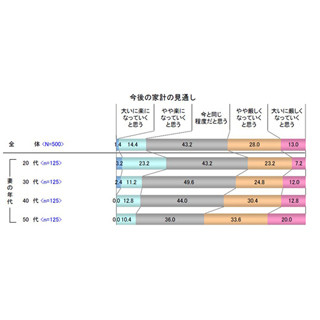 今後の家計見通し、4割超の主婦が「厳しくなる」--節約食材は「豆腐」59.6%