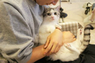 「自分を抱っこしてるのが飼い主でないと気づいた瞬間のうちの猫の顔」