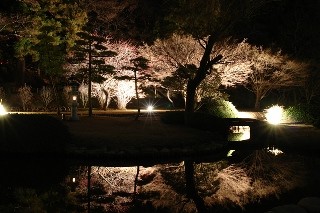 3千本の梅の花が咲き誇る梅まつり開催