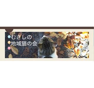 東京都・武蔵野市の保護団体が猫の一時預かりボランティアを募集中