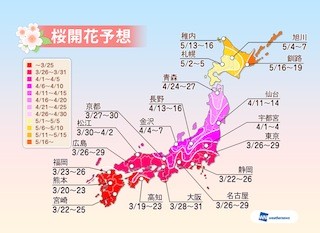 桜開花予想発表、「都心周辺は3月後半に開花のピーク」 -ウェザーニューズ