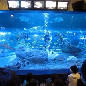 都内水族館初! しながわ水族館で"リアル謎解きゲーム"開催