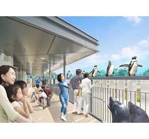 京都水族館がイルカ・ペンギンの新プログラム開始 - ペンギンのお散歩も