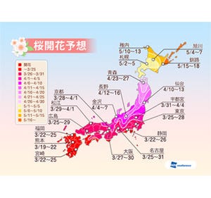 東京都・上野は3/27、大阪城は3/29、熊本城はまもなく!　全国の桜開花情報