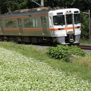 JR東海、飯田線各駅から東京への旅行に便利「飯田線東京フリー乗車券」発売