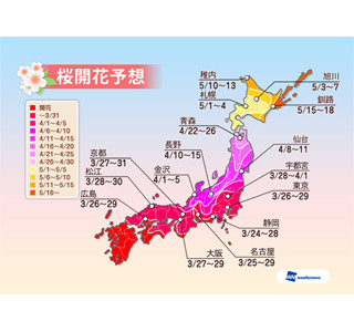 東京都など関東南部は4/2までに、東海～九州の開花率は9割に!