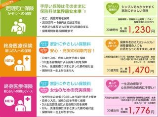 ライフネット生命、主力2商品を見直し--"開業後初"の保険料の引き下げ