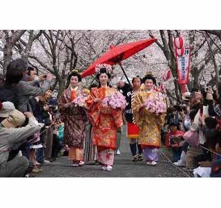 豪華絢爛な姫様など江戸時代の歴史絵巻を再現! 「浜松市姫様道中」開催