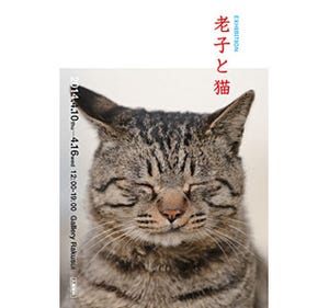 東京都・神楽坂で老子と猫がコラボした展覧会が開催