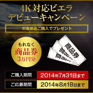 パナソニックの4Kビエラと4Kカメラ購入で、もれなく商品券3万円分がもらえる!