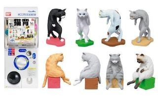 ひどい"猫背"のネコのフィギュアが登場