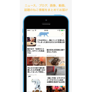 猫の情報を毎日100記事以上読める無料アプリが登場