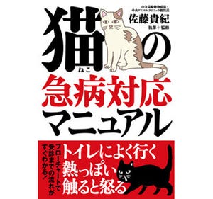 猫の急病対応マニュアルで応急処置法を学ぶ!