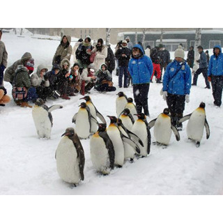 世界の動物園・水族館ランキング - 日本から旭山動物園、海遊館などが選出