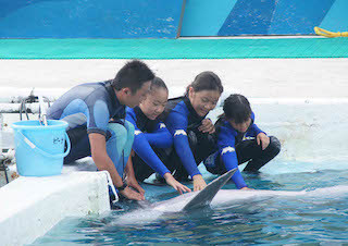 水族館で働ける! 千葉県・鴨川シーワールドで、職業体験イベント開催