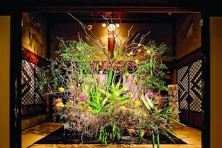 東京都・目黒雅叙園で「華道家 假屋崎省吾の世界 ～百花繚乱～」を開催