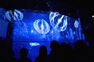 神奈川県・新江ノ島水族館でナイトアクアリウムが開催!