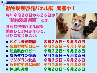 徳島県・動物愛護管理センターで「動物愛護啓発パネル展」が開催