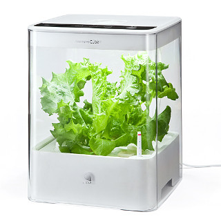 サンワ、部屋で野菜を育てられる土いらずの水耕栽培器