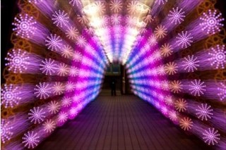 東京都文京区の東京ドームシティが、LED220万球のイルミネーションを実施