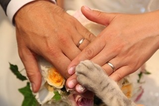 愛猫・愛犬と一緒に結婚式!? お値段はなんと驚きの安価!!