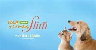 愛猫・愛犬のために!! 保険料月々1,360円からのペット保険が登場