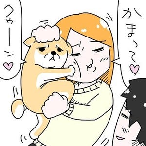 彼氏にかまってほしくて犬と軽くバトルする彼女 - 森もり子が書き下ろし!