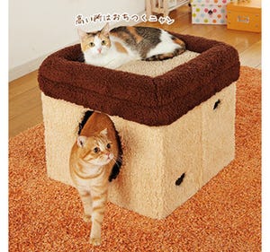 二階建ての猫用ベッドが販売中!