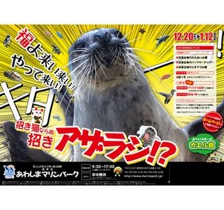 ペンギンにごはんをどうぞ! 静岡県「あわしまマリンパーク」でイベント開催