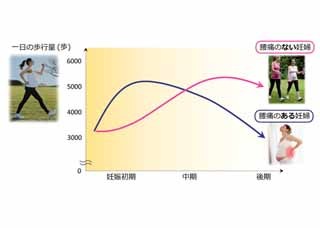 妊娠初期の過度な運動は腰痛を悪化させることが判明 ‐ 医療法人葵鐘会