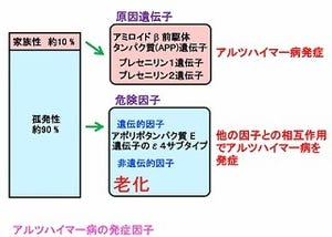 アルツハイマー病、65歳以上で発症リスクが急激に増える!?