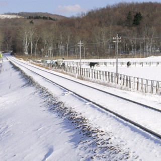 JR北海道、日高本線の今後の対策方針を発表 - 土砂流出で運転見合わせ続く