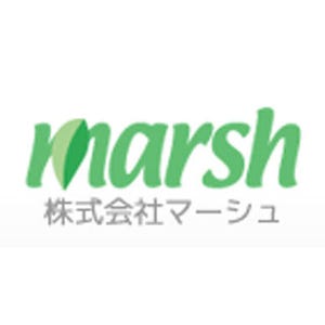 個人年収のボリュームゾーン「300～400万円未満」--貯蓄は"100万円未満"最多