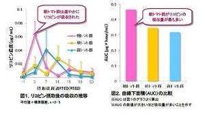 朝にトマトを食べるとリコピンが効率良く吸収されることを確認 ‐ カゴメ