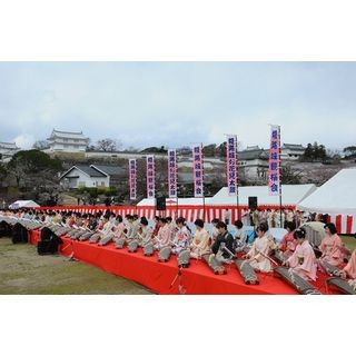 姫路城グランドオープン記念「祝賀・姫路城観桜会」開催! 姫路おでんも出店