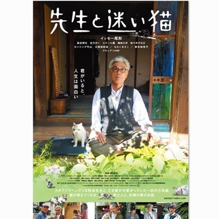 『ヨルタモリ』三毛猫ドロップの名演光る! 『先生と迷い猫』特報映像公開